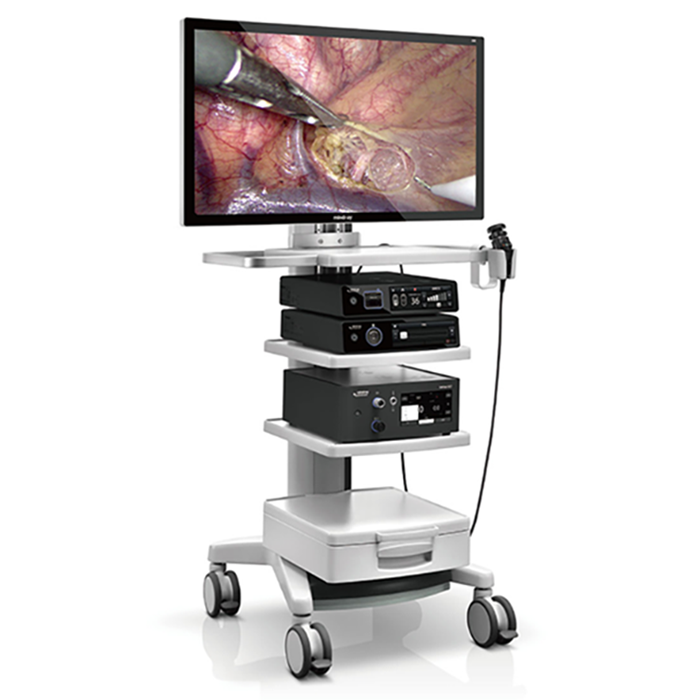 Veterinary Video Endoscopy System